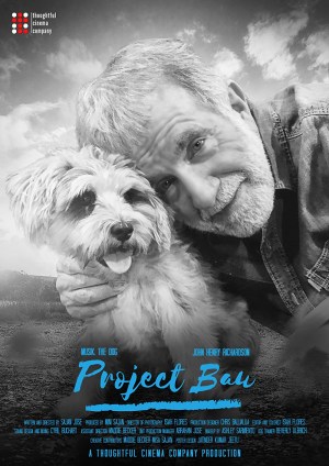 Project Bau