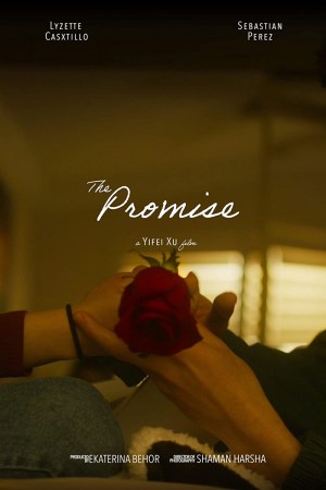 The Promise