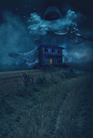 Phantom of the Fields