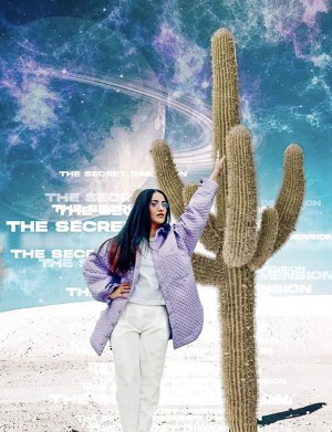The Secret Dimension