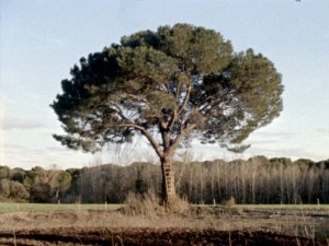 La Ermita