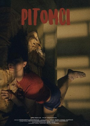 Pitomci