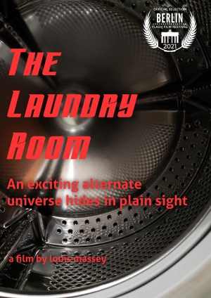 Beware What Can Happen in a Laundry Room
