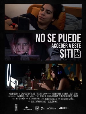 No se puede acceder a este sitio