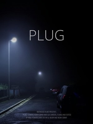 Plug