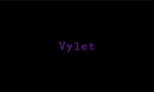 Vylet