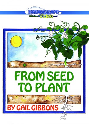 From Seed to Plant