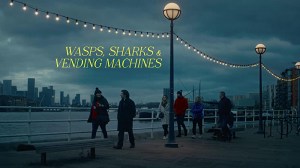 Wasps, Sharks & Vending Machines