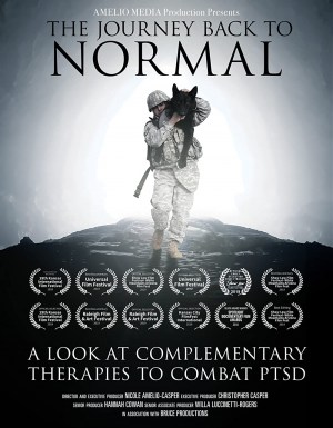 The Journey Back to Normal A Look at Complementary Therapies to Combat PTSD