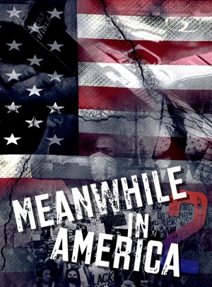 Meanwhile in America II