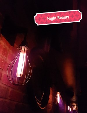 Night Beauty