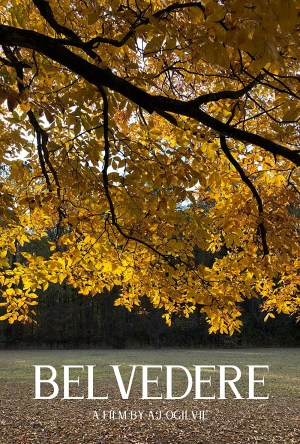 Belvedere