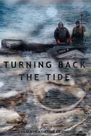 Turning Back the Tide: Can Oysters Save Our Oceans?