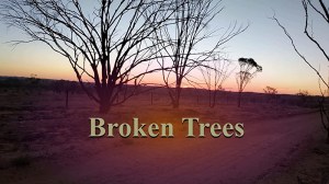 Broken Trees Documentary