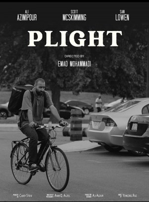Plight