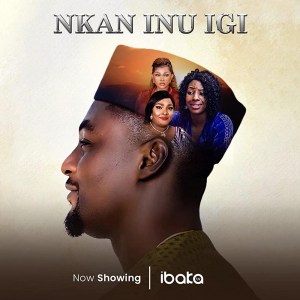 Nkan Inu Igi