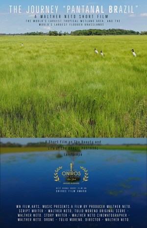 The Journey Pantanal Brazil The Journey Pantanal Brazil