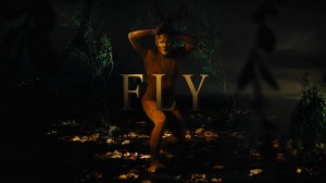 Fly