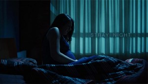 Stray Night Stray Night