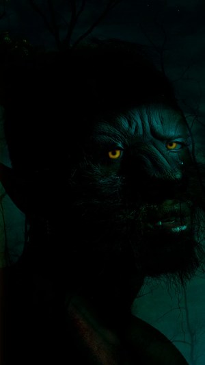 The Wolf Among Us