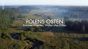 Polens Osten: Zwischen Wisenten, Wölfen und Elchenf