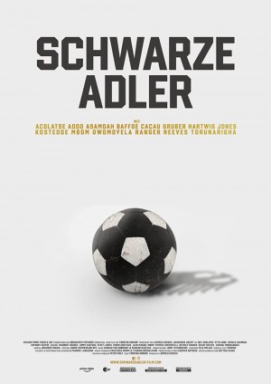 Schwarze Adler