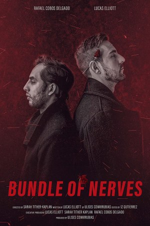 Bundle of Nerves
