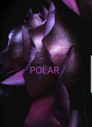 The Polar Story