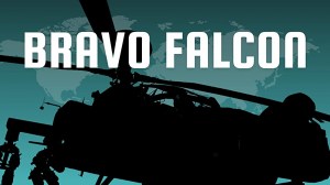 Bravo Falcon Bravo Falcon