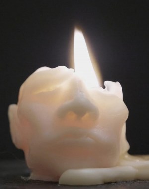 Waxhead