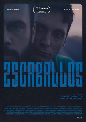 25 caballos