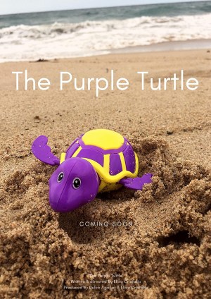 The Purple Turtle