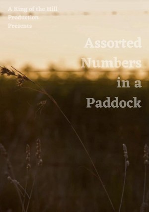 Assorted Numbers in a Paddock