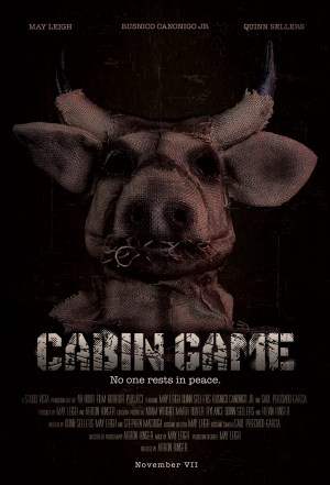 Cabin Game