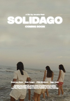 Solidago