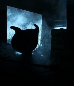 I Was A Witch's Familiar
