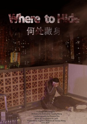 Where to Hide Where to Hide