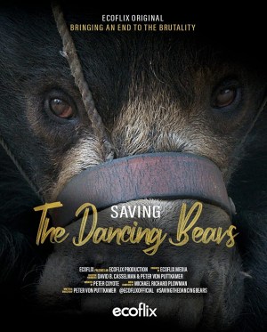 Saving the Dancing Bears
