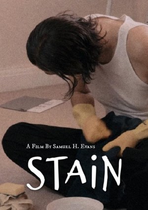 Stain