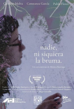 Nadie, ni siquiera la bruma