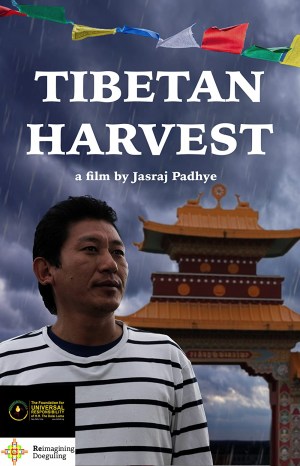 Tibetan Harvest