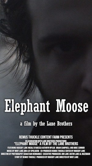 Elephant Moose