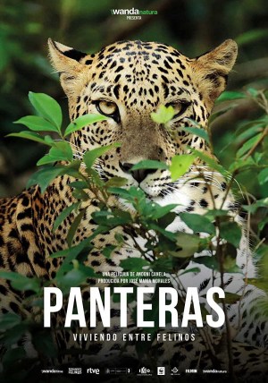 Panteras: Viviendo entre felinos