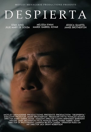 Despierta