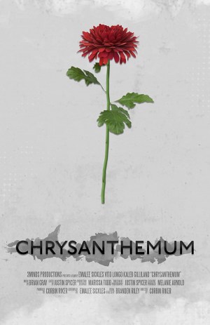Chrsyanthemum