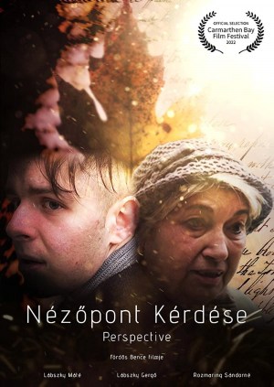 Nézöpont kérdése