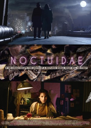 Noctuidae
