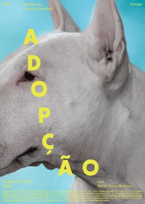 Adopção