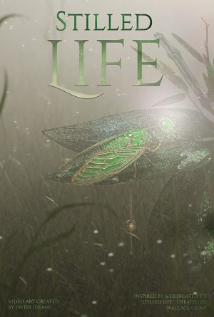 Stilled Life