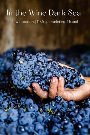 In the Wine Dark Sea